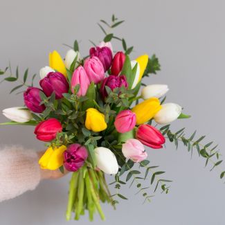 Bouquet de tulipes colorées